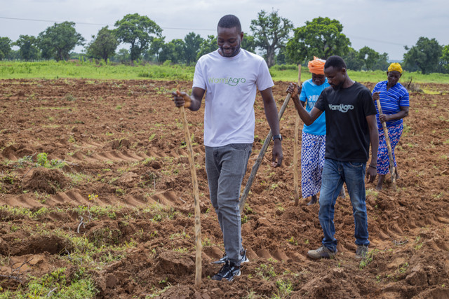 Farmers cultivating field together