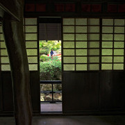 IMGP0729