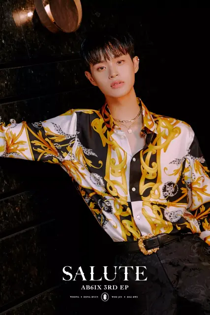 dae hwi ab6ix 1120460