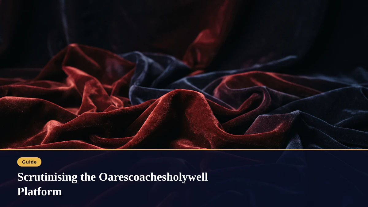 Scrutinising the Oarescoachesholywell Platform
