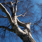 DSCF1024-800