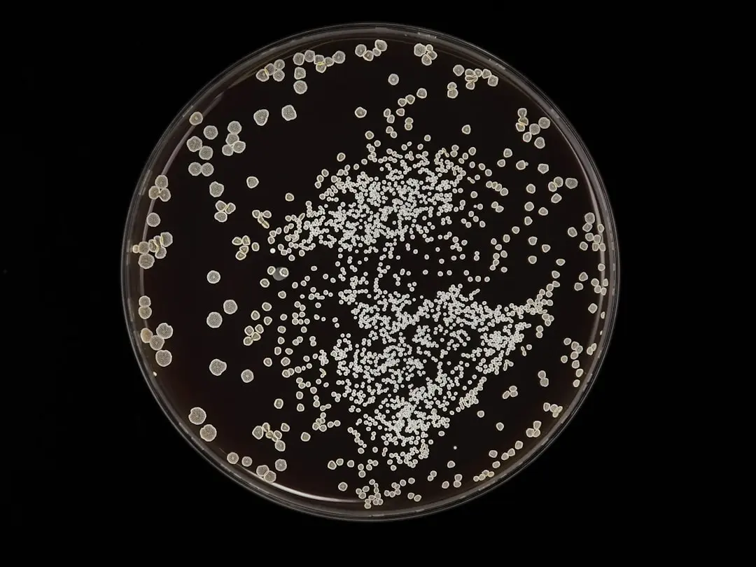 Bacteria Found to Neutralize Uranium in Mine Water