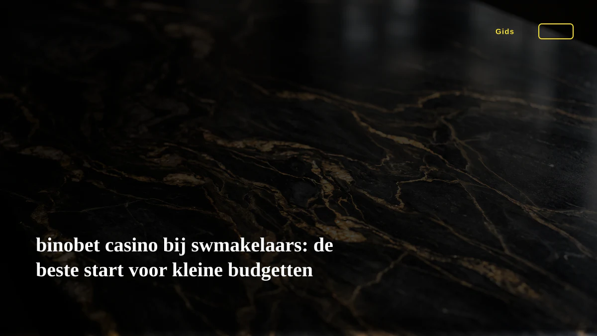 binobet casino bij swmakelaars: de beste start voor kleine budgetten