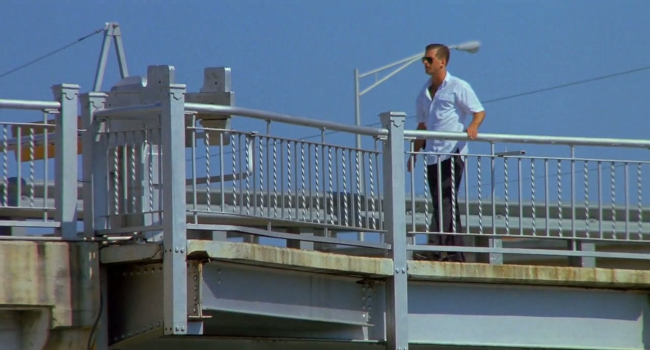 Miami Blues Screenshot