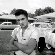 elvis audubon