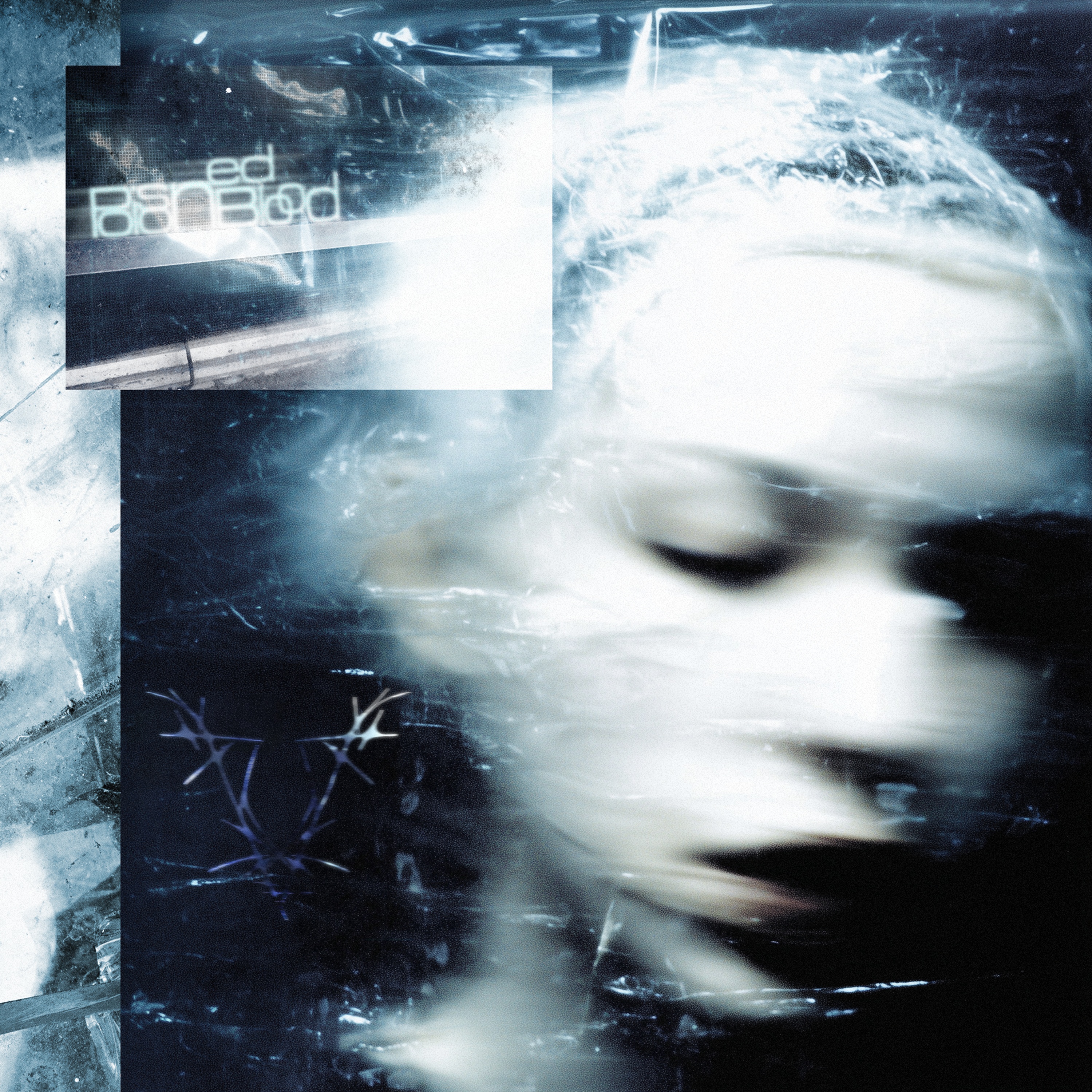 VOOICE - poisoned blood (Single) (2026)