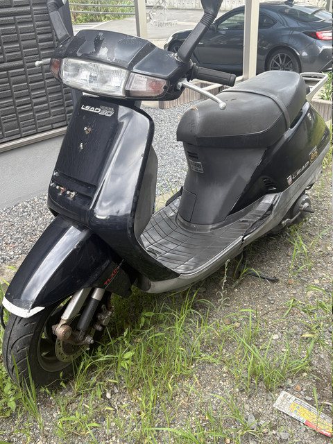 IMG 5411.jpg