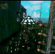 28.gif