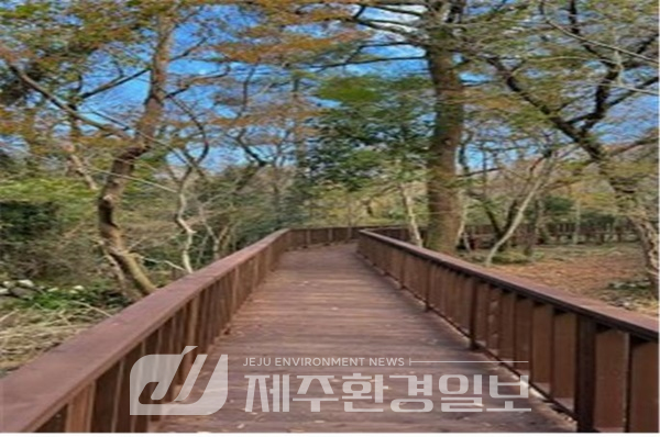 서귀포자연휴양림 무장애나눔길 조성 완료