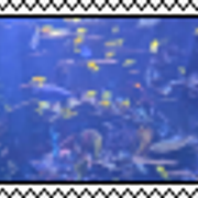 aquarium stamp