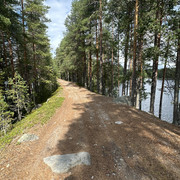 IMG 4579