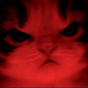 96069-kitty-angry