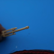 IMG 1294