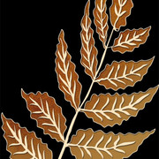 petals pins