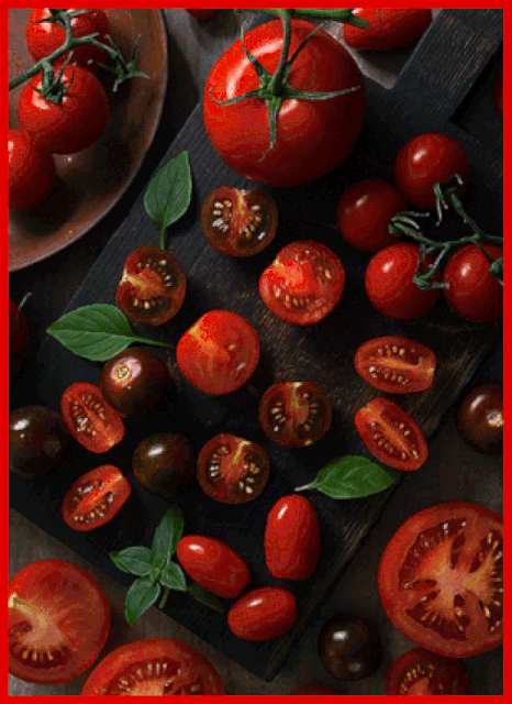 IMG 9645.gif