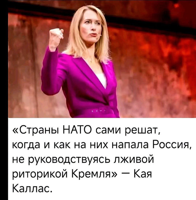 https://i.ibb.co/604dDFwS/IMG-3498.jpg