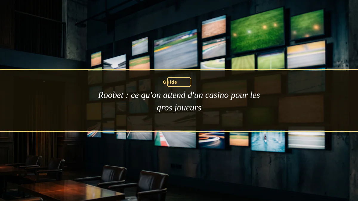 Roobet : ce qu'on attend d'un casino pour les gros joueurs