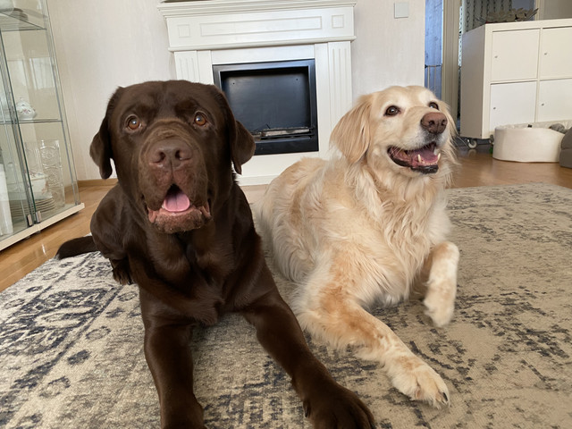 3-F6-C5902-9879-4-AB8-B769-E26-D413-E569