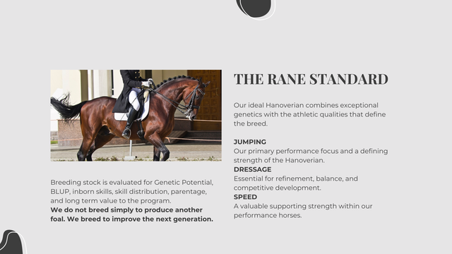 Horse-Rider-Club-5.png?utm_source=chatgpt.com