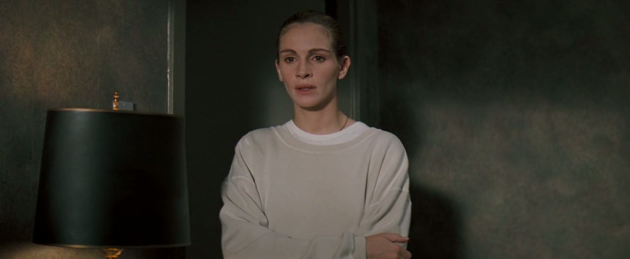The Pelican Brief Screenshot