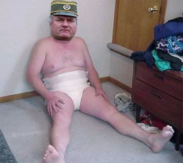 mladic
