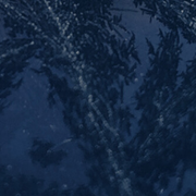 Texture 1