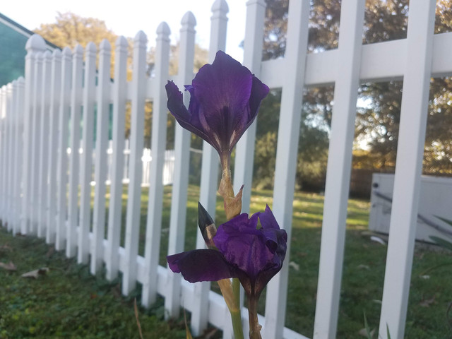 20181104 102035.jpg