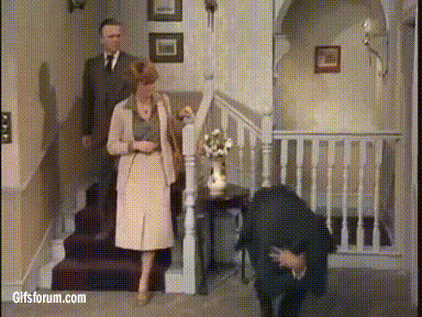 d893nph-7dcab2d5-32d7-4e0a-9abc-4a485e270537.gif