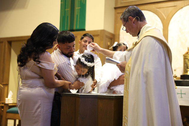 IMG-8782