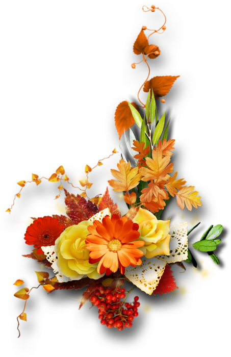 s0tfneweyc4ewi8xs5cczutzaya