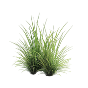 5f1ba7ea8a1252599e74876701e0109d