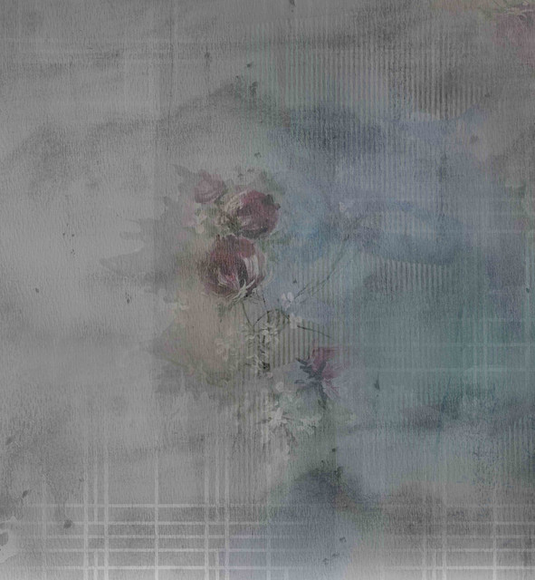 29 SLEEVE.jpg