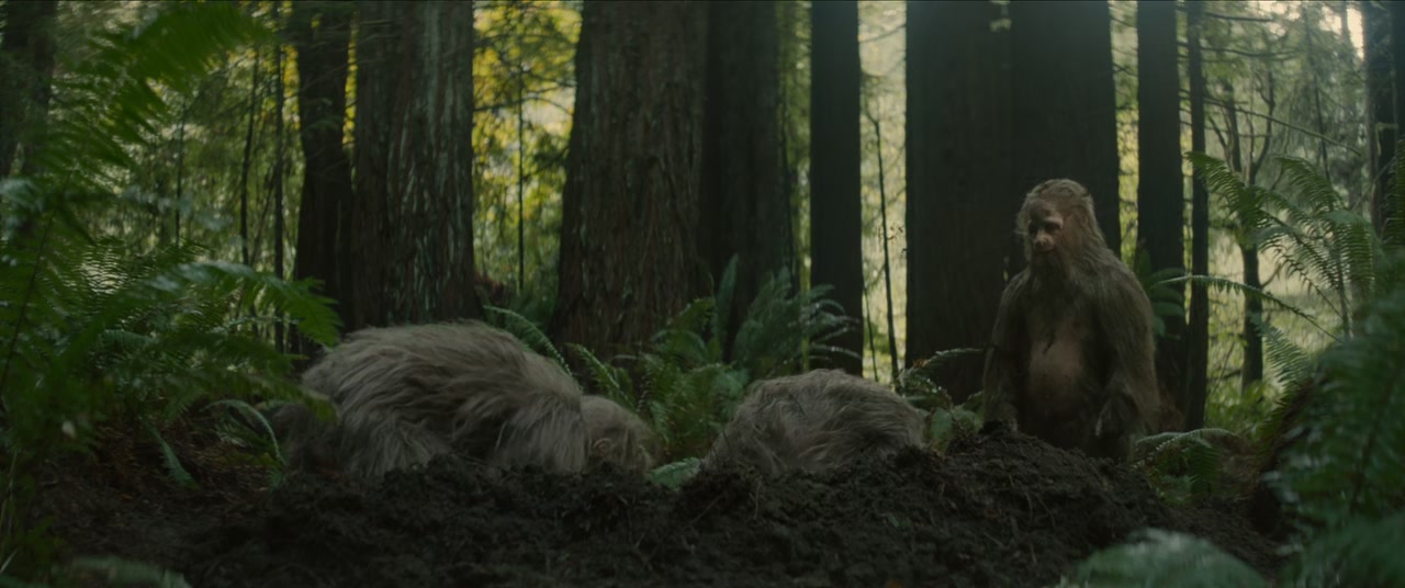 Sasquatch Sunset Screenshot