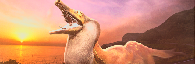 Wroggi-Banner