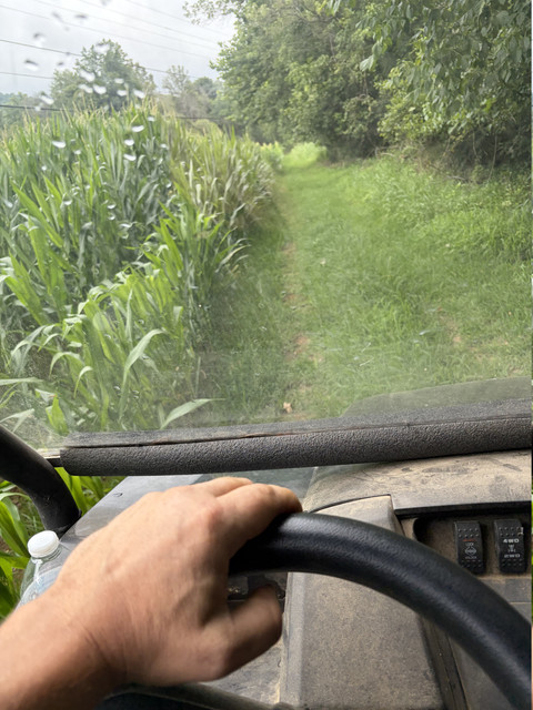 IMG 1254