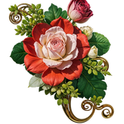 freepik-background-63481