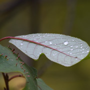 DSC-0182