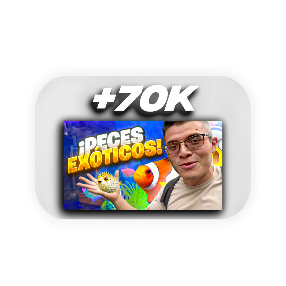 Métrica de conversión