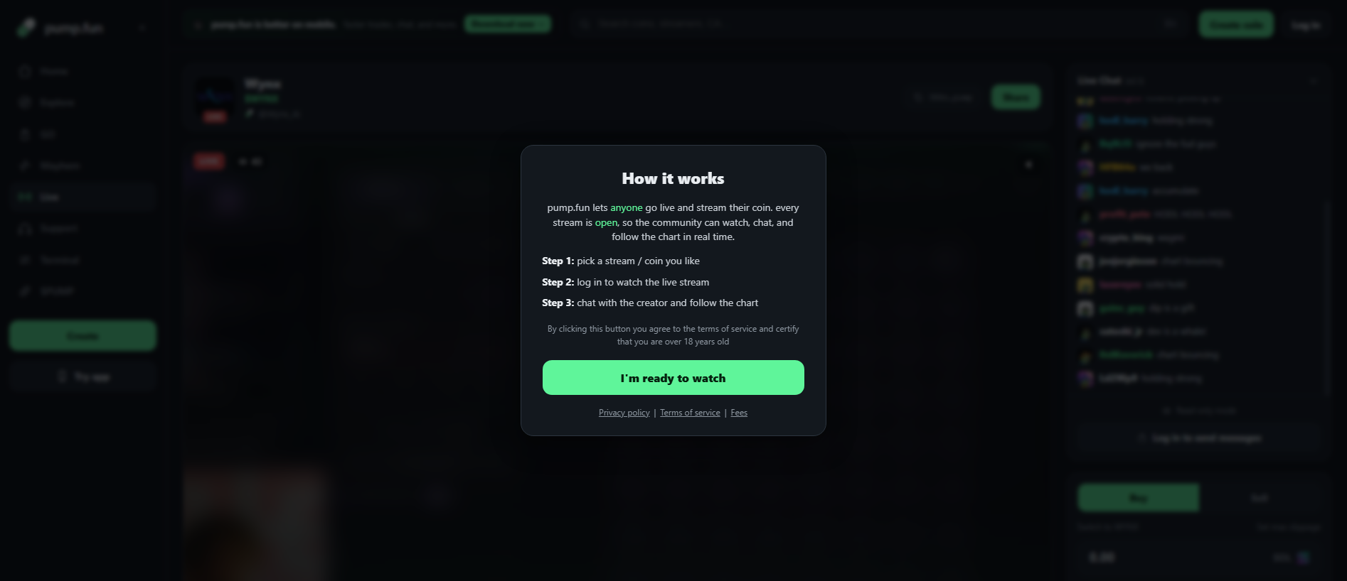 Stored capture of pump-gostream.fun