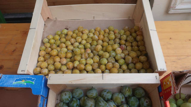 batch IMG 6684.jpg