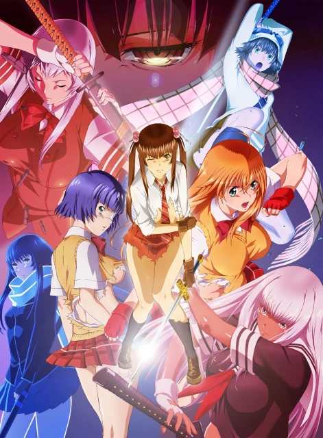 shin-ikkitousen