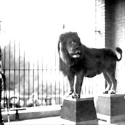 Volney Leo