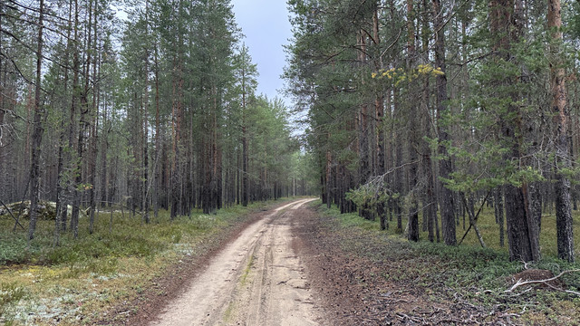 IMG 4987.jpg