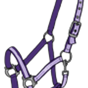 riimu4 2