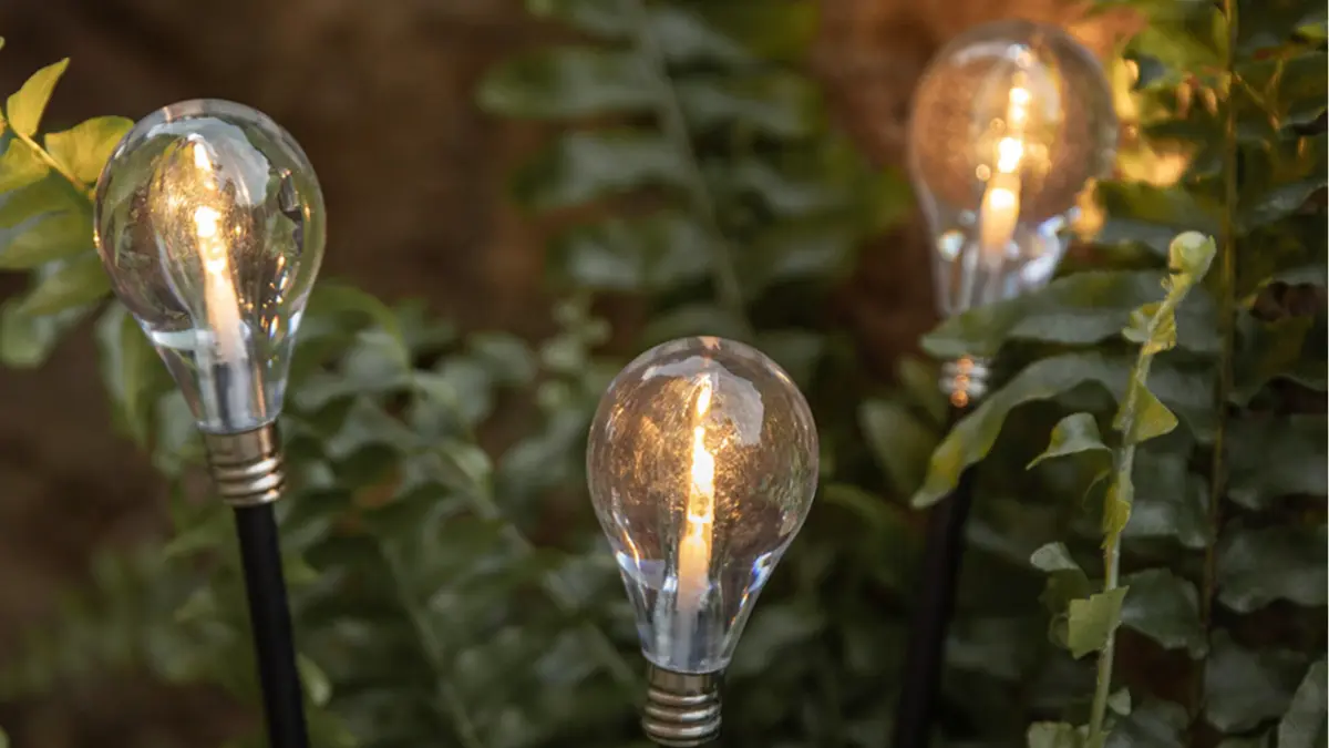 Iluminatul la nivel scăzut ia etapa de centru