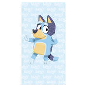 306745 Bluey