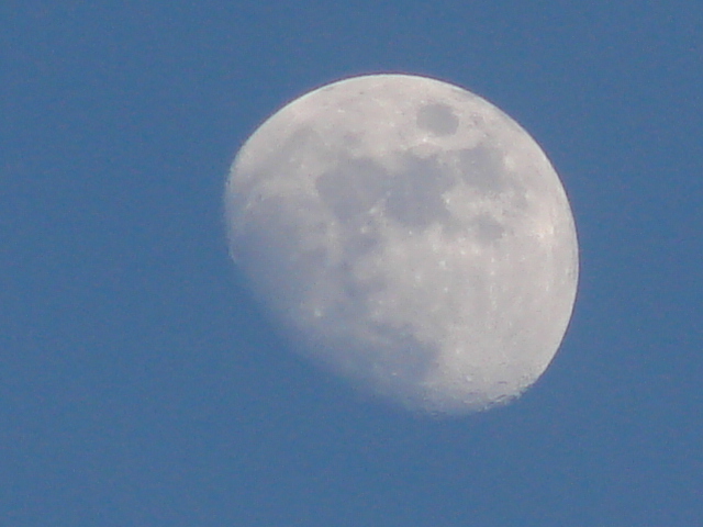 DSC04621.jpg