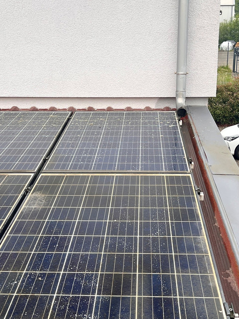 Vorher: deutlicher Flechten- und Krustenbefall auf den Solarmodulen in Wipperfürth