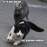 67e9ff586f70f48d5514f76061bdbd85.jpg