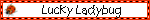 IMG 2675.gif
